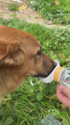 Pawly™ – Borraccia 2 in 1 per Cani | Acqua + Snack Ovunque